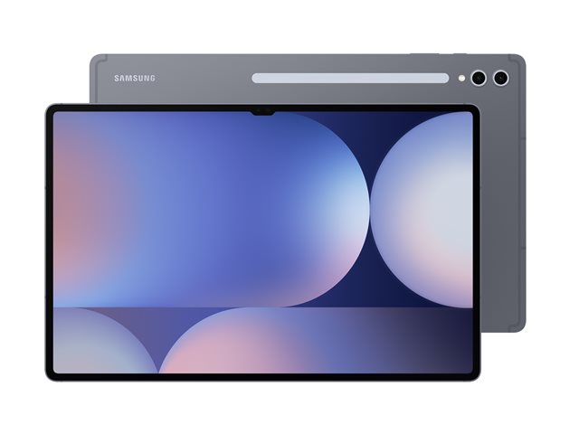 Samsung Galaxy Tab S10 Ultra 14.6" 256 GB Grey