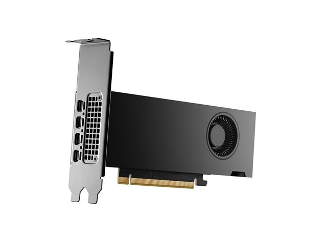NVIDIA RTX 2000 Ada Graphics Card