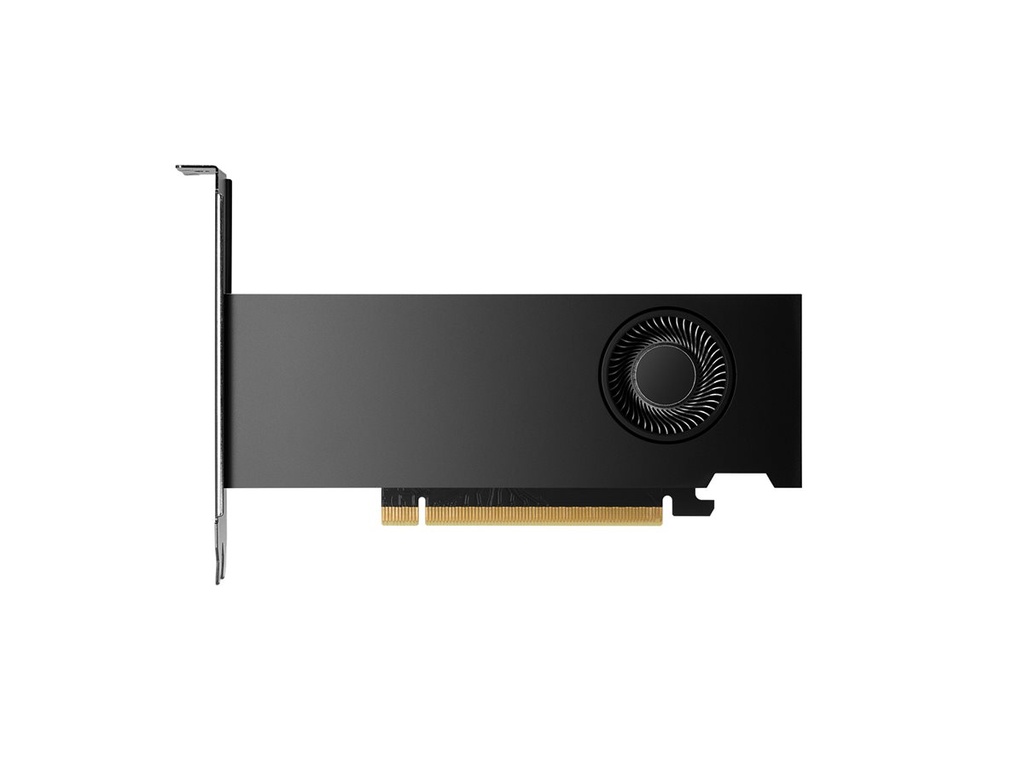 NVIDIA RTX 2000 Ada Graphics Card
