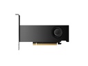 NVIDIA RTX 2000 Ada Graphics Card