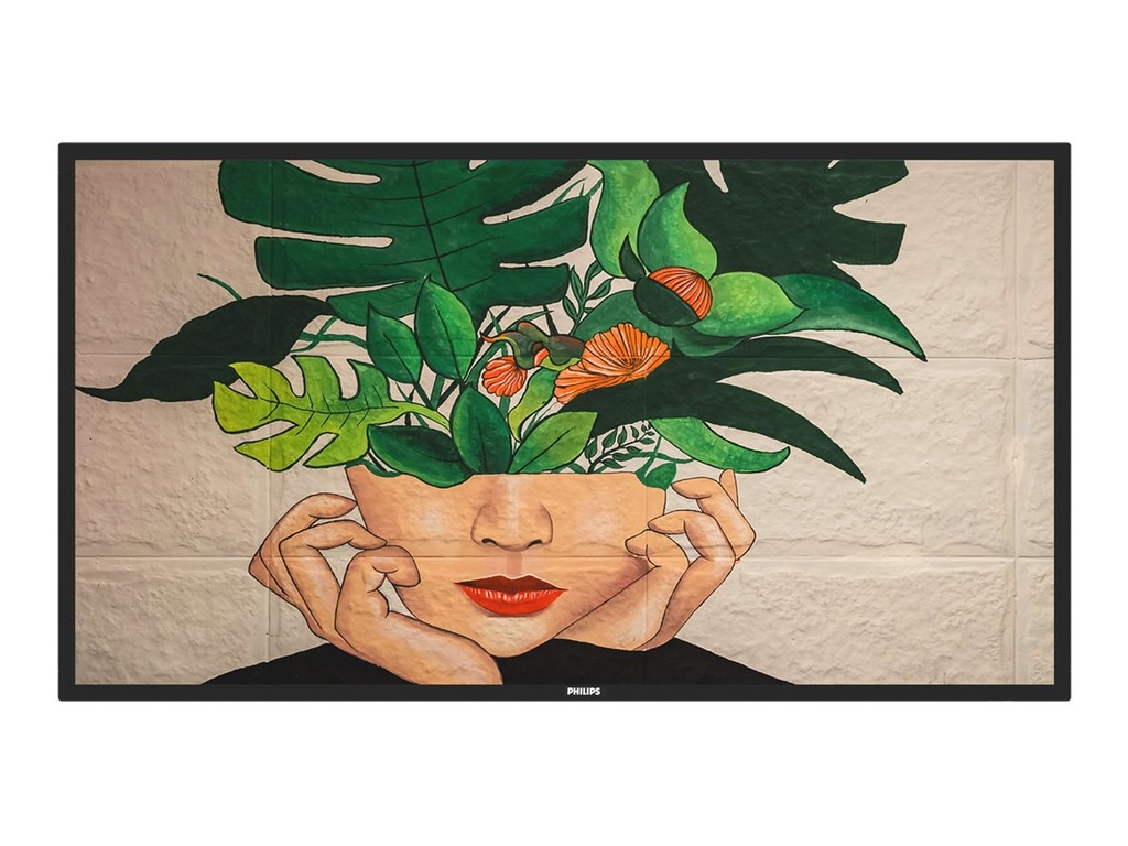 Philips 55BDL4650D D-Line Display